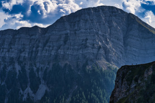 Mount Staff